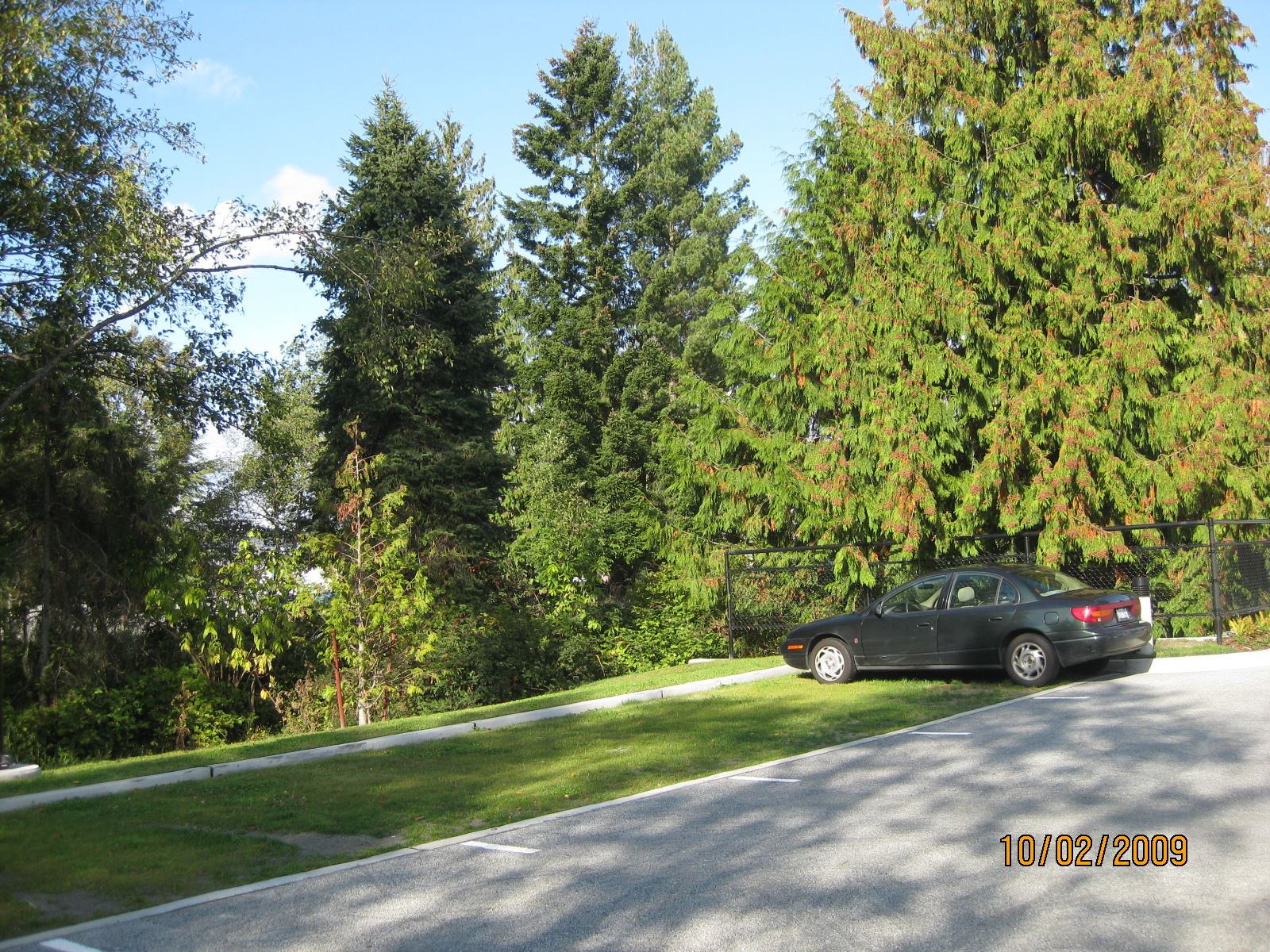City Hall parking lot, October 2, 2009