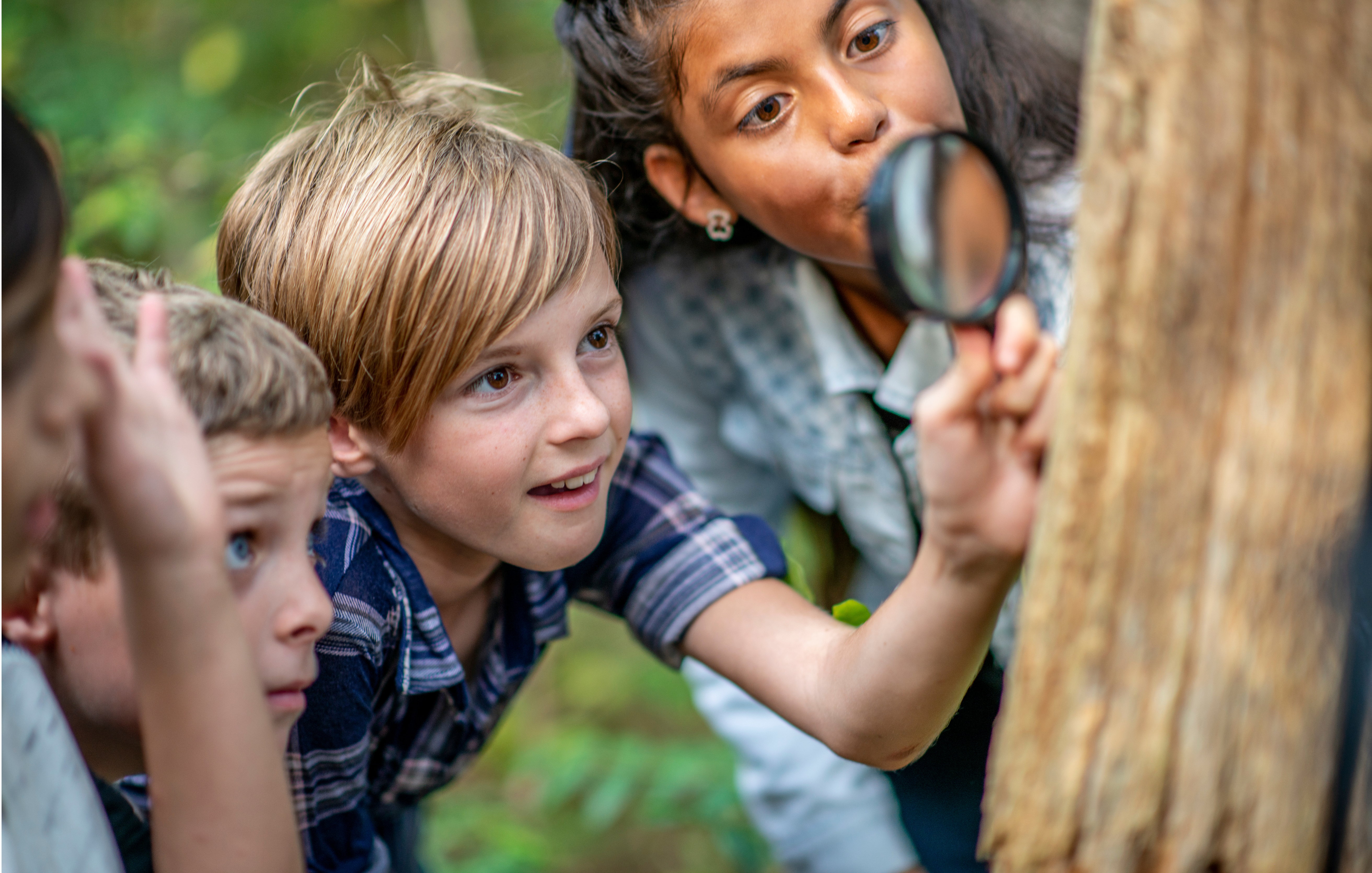 Group of kids at outdoor nature school