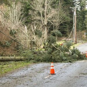 Fallen trees and downed power lines blocking a road